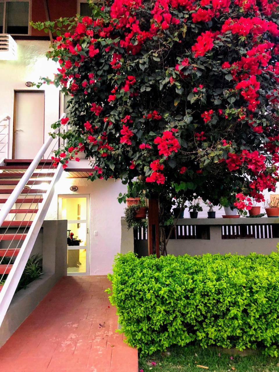 Flat 301 Condominio Villa Hipica - Gravata, Pe מראה חיצוני תמונה